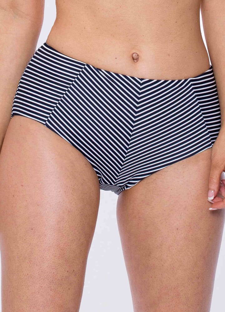 Bikini Bottom Striped Panelled Brief